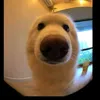 cpmqeo
