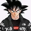 fans.de.goku088