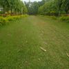 Anshu Anshu