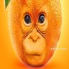 funnimonkeyguy