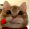 wu4nq_