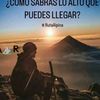 abielmoreira5
