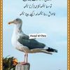 atif.atif054