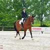 jacopobandiera3