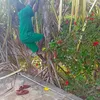 .e.l.c.mungu.n.mwe