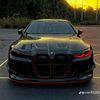 rajpootking_302