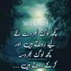 falakshair965