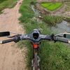pit_tung