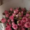 jana_ha8