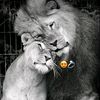 ramzi230001