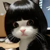 meow_unbox.review