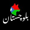 hamoodbalushi5