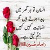 hamzabutt4593