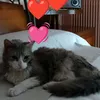maria_stella345