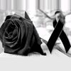 flaquita.jarquin35