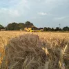 agri_antony