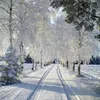 user9187065108034