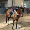 lorenaand.horses