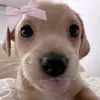 xcxkira0