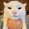puszeq1