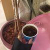 فاطمه .