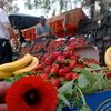 houcinelesfruits