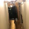 most_.unknown1