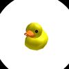 gato_manzana33
