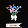asmy_af