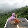 azfalia.store