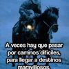 josealbertozambra2