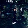 ajimhmdsnwldn11