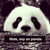 guzarmanycerdabol