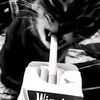 a_fndy