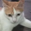 yumyra00