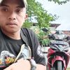 adit.tiya92