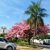 andreaaquino396