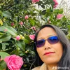 rose58a