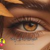 maisalreem33mohammad0791