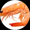 amogus_guye