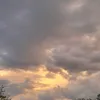 vikussiik_7