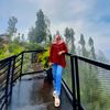 iies.sagita_