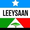 maryanali235