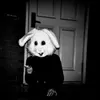 7ama_x03