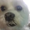 _jmwlll