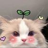 hieng293