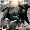 rudi_09.10