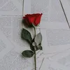 _samira0200