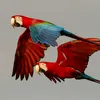 jumakhan2284