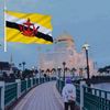 Bibi 🇧🇳Brunei Darussalam🇧🇳